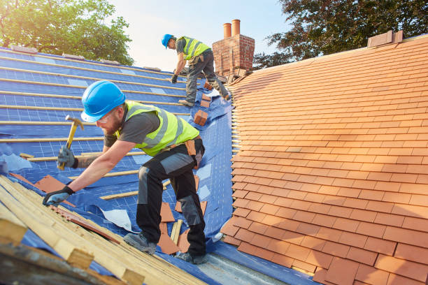 Best Metal Roofing Installation  in Cienega Springs, AZ